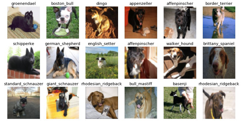 实践教程：使用神经网络对犬种进行分类