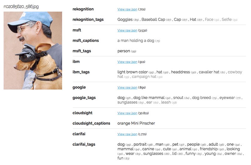 吉娃娃还是松饼？找到最好的计算机视觉API