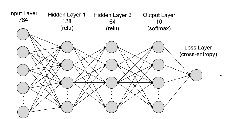 Gluon