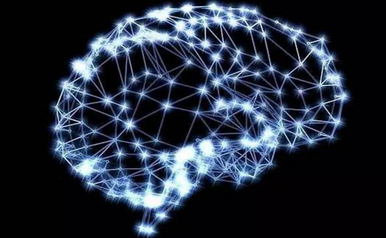 神经网络正在学习“记忆”和“忘记”