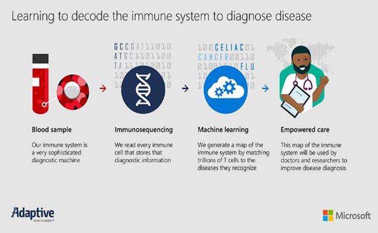 微软和Adaptive Biotechnologies宣布合作使用AI解码免疫系统，可诊断并治疗疾病