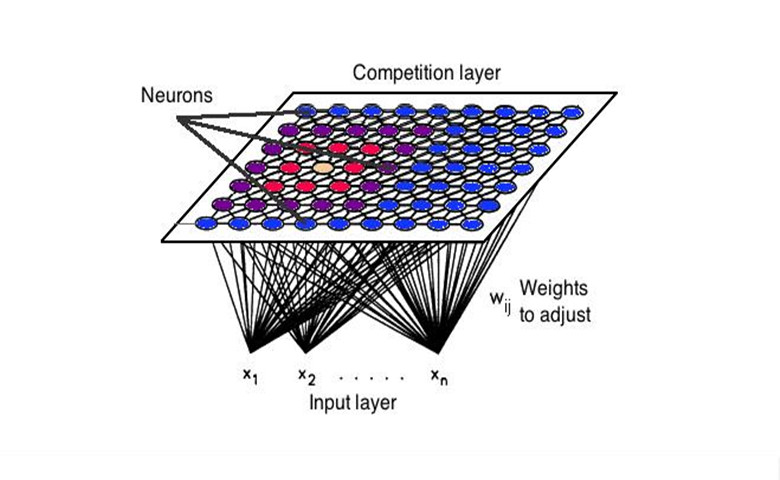 Kohonen自组织神经网络