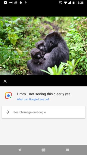 还记得两年前谷歌将黑人认成大猩猩的乌龙事件吗，现在怎么样了？