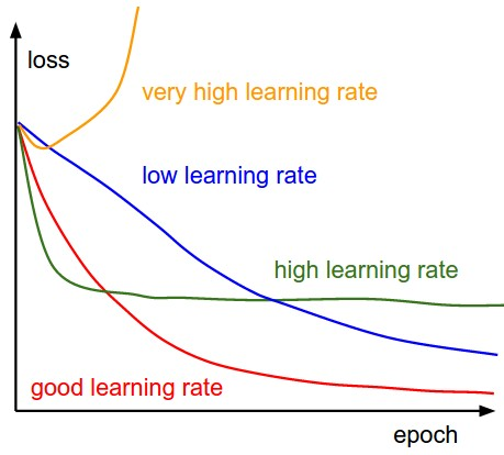 了解学习速率以及它如何提高深度学习的表现