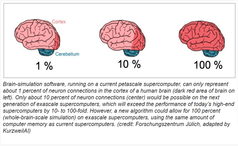 神经模拟再突破，NEST算法可以100%模拟人脑