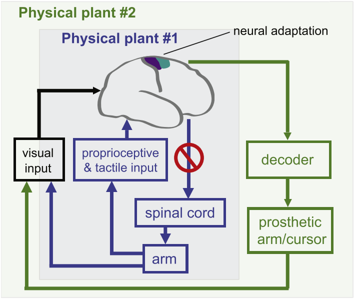 Berkeley共享自主研究：人-机组合应用model-free RL，优化无人机实时辅助控制