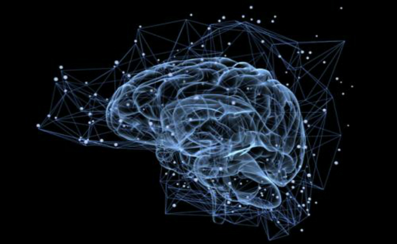 DeepMind用基于AI的元强化学习框架研究多巴胺在学习过程中的作用