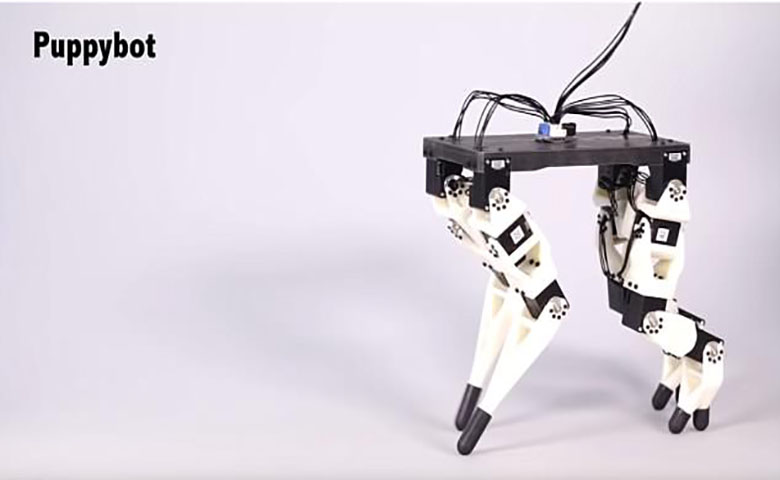 迪士尼展示了其最新的原型机器人Puppybot