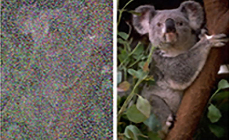 NVIDIA新研究：AI只通过噪点图像的训练就可以修复照片