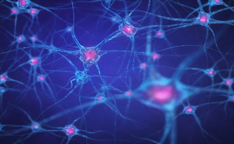 DeepMind研究测试神经网络的抽象推理