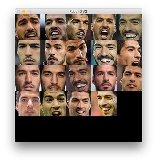使用Python进行人脸聚类的详细教程
