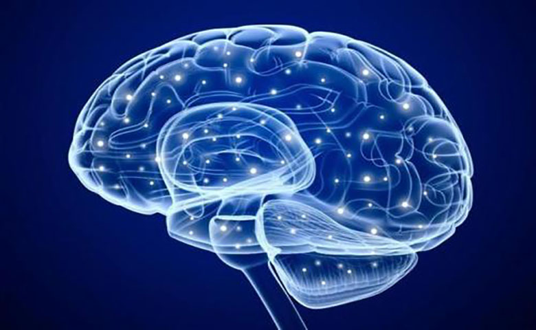 剑桥大学开发AI模型，结合视觉与语义信息，研究大脑识别过程