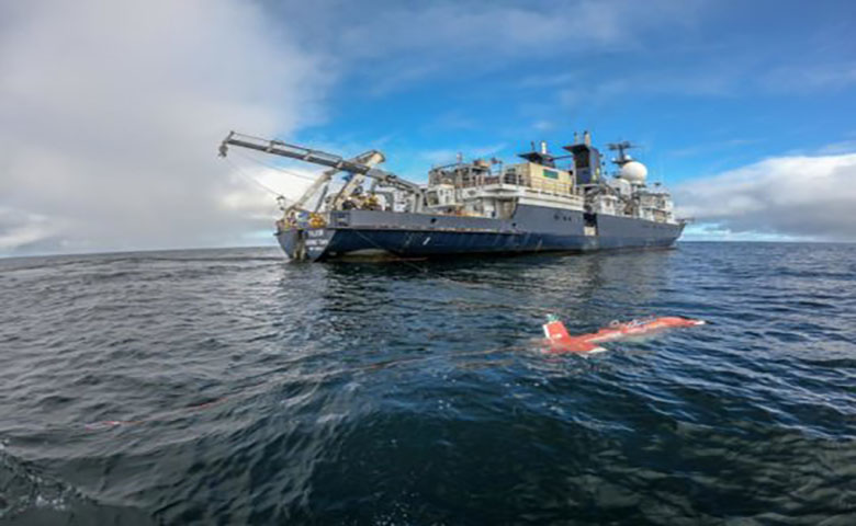 自动水下机器人和AI加快深海生态探索