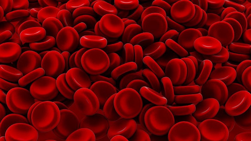 机器学习项目：使用Keras和tfjs构建血细胞分类模型