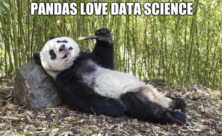 帮助数据科学家理解数据的23个pandas常用代码