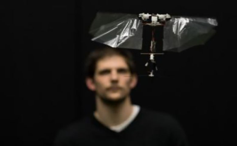 Science：受果蝇启发，研究人员开发了新型飞行机器人，自由灵敏