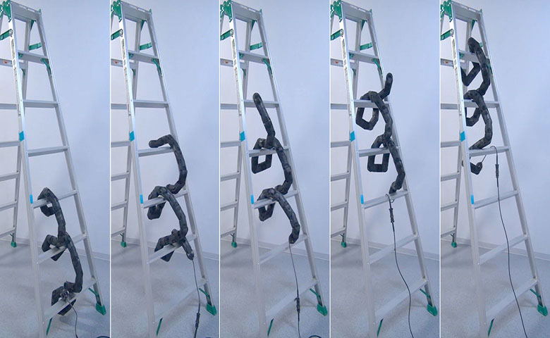 京都大学制造了会爬梯子的机器蛇，可用于救灾援助
