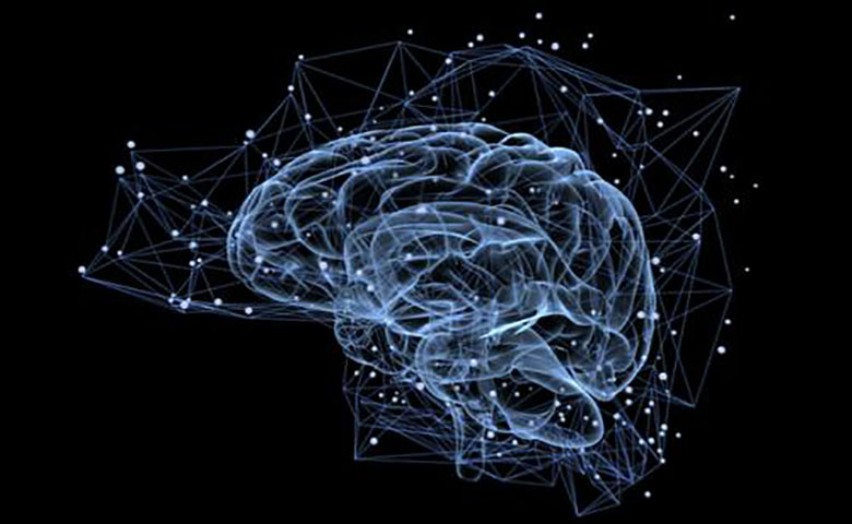 斯坦福研究人员利用AI自动检测老年痴呆，准确率达到94%