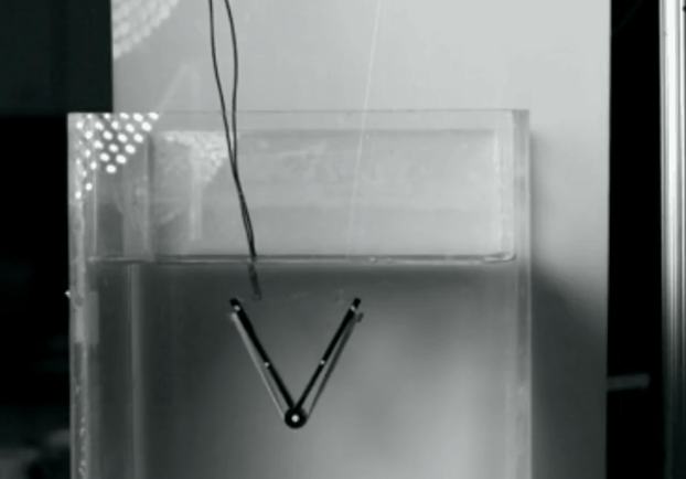 康奈尔大学研究跳水机器人，以加快开发水下移动机器人