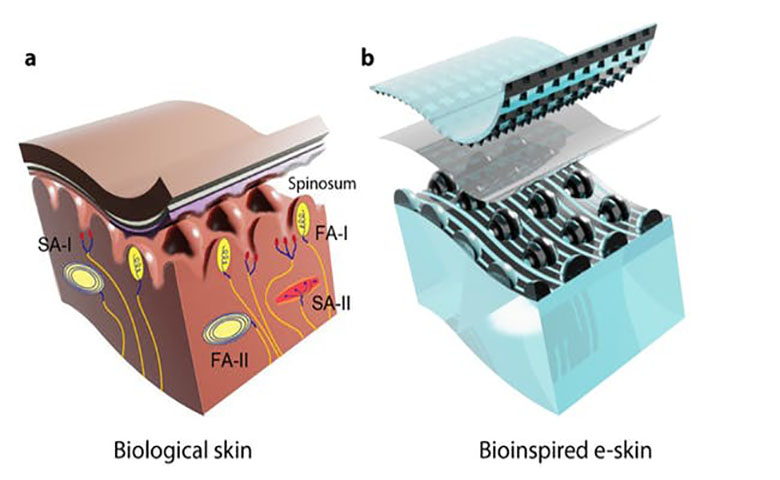 斯坦福大学研究者开发电子皮肤，使机器人手操纵复杂活动