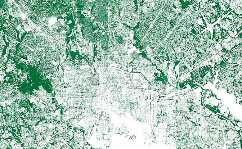 AI识别城市中的树木，帮助研究者绘制树木位置图