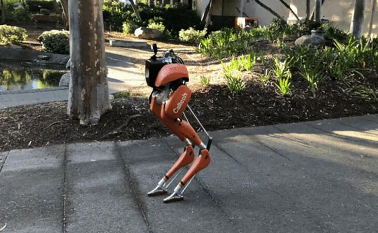 加州理工学院研发双足机器人，或可为行走困难的人带来便利