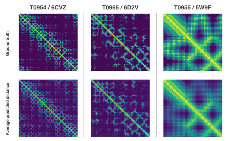 DeepMind新成果：AI更快更精确地预测蛋白质结构