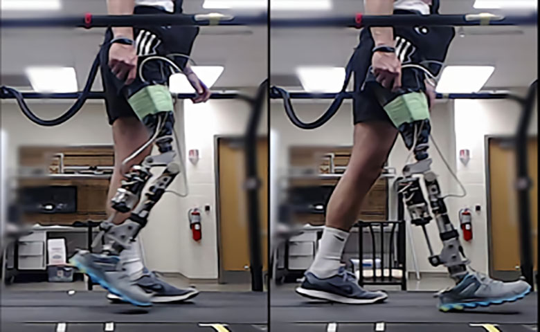 AI算法自动训练机器人肢体，使用者几分钟内即可平稳行走