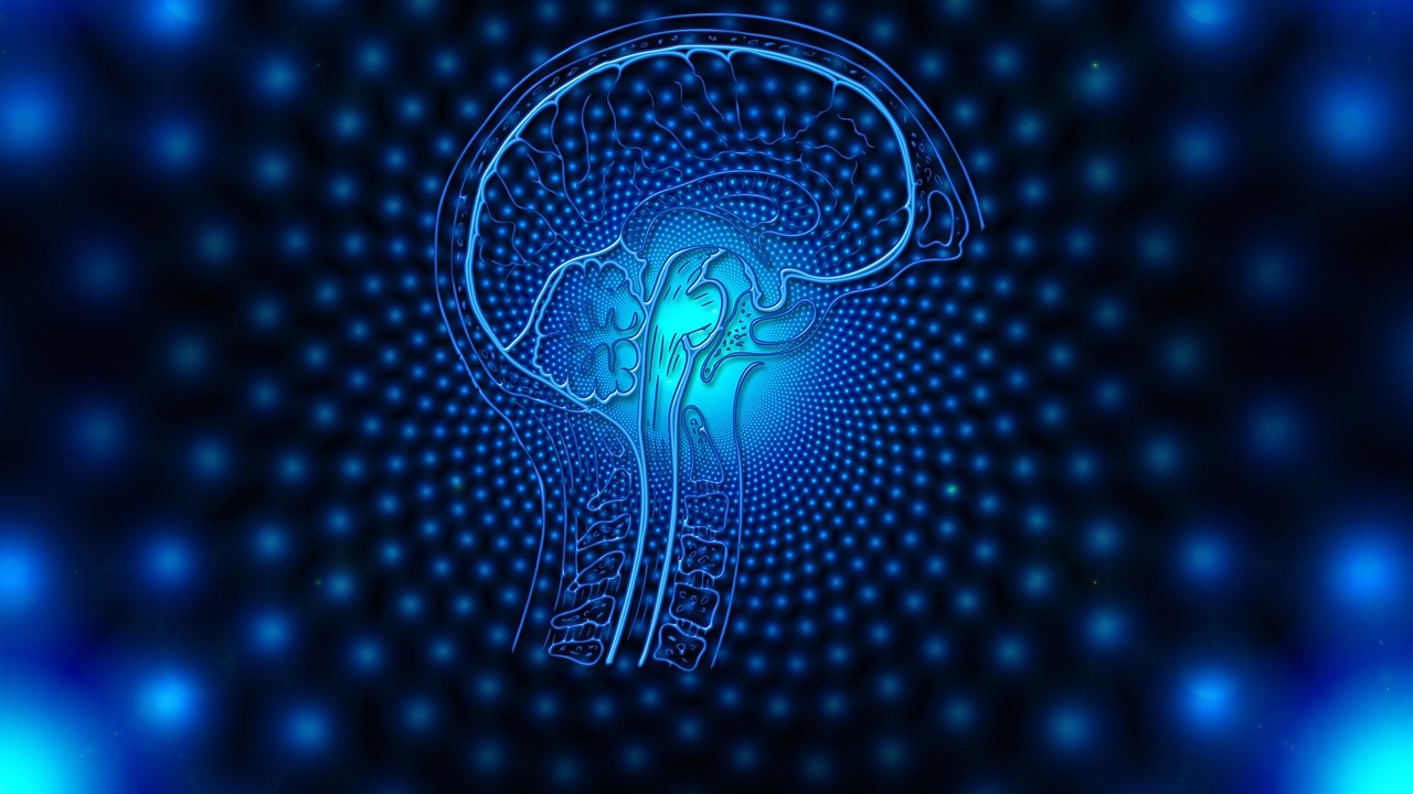 brain-4927267_1280