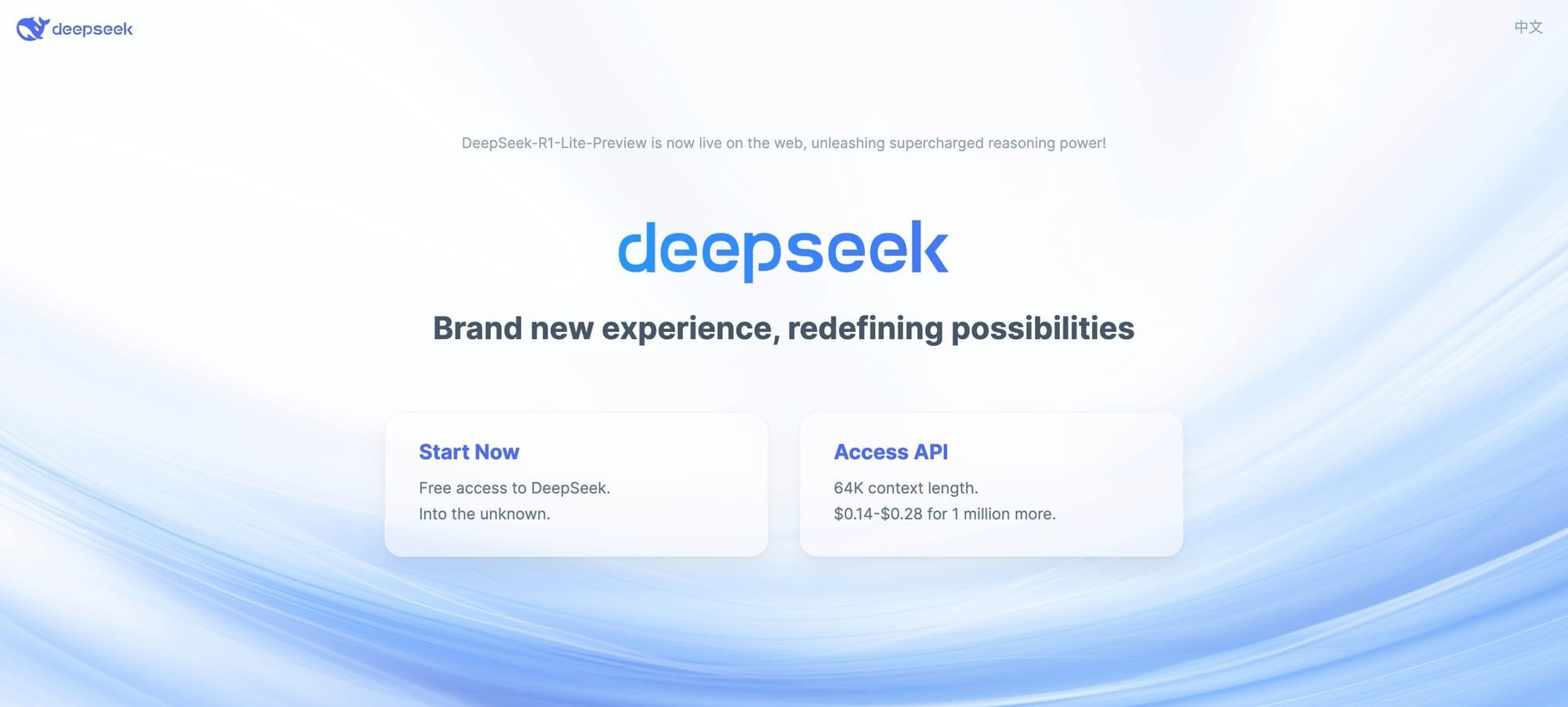 screenshot-www_deepseek_com-2024_11_21-12_20_04-1