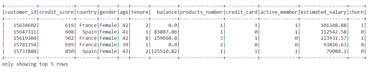 dataset