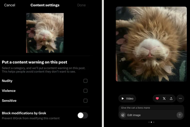 Grok-block-edit-before-and-after