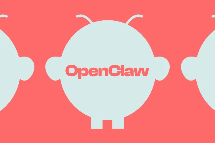 STKB382_OPEN_CLAW_C STKB382_OPEN_CLAW_C