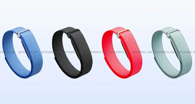 google-fitbit-air