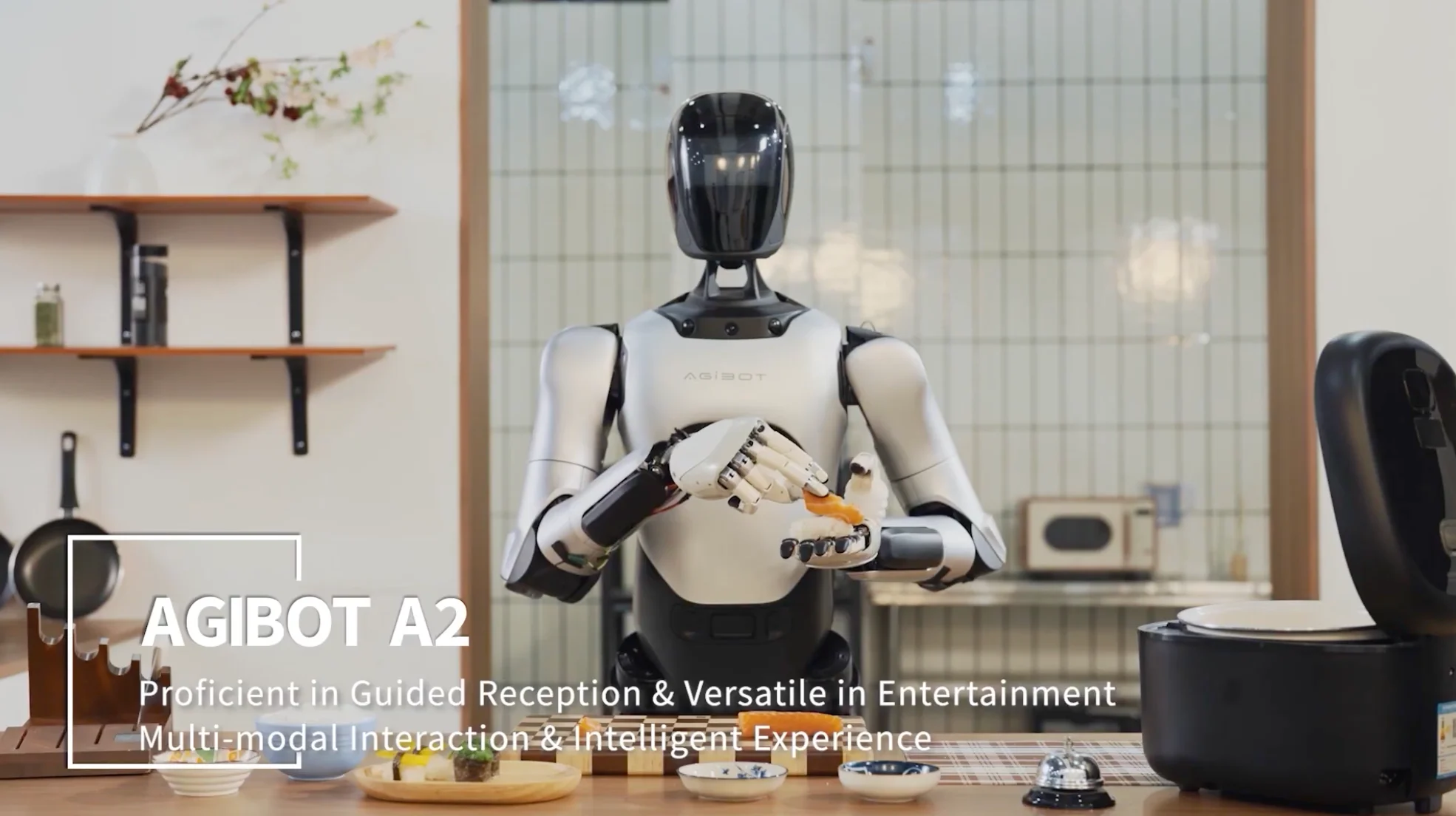 AGIBOT A2